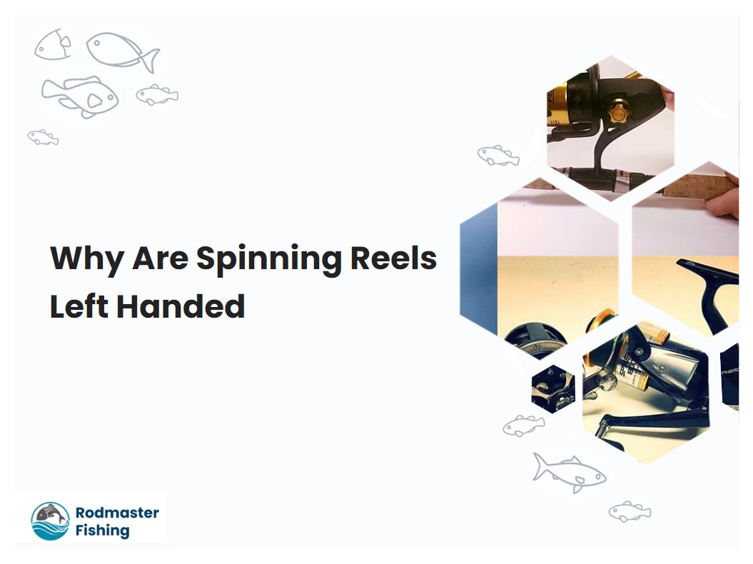 Why Are Spinning Reels Left Handed