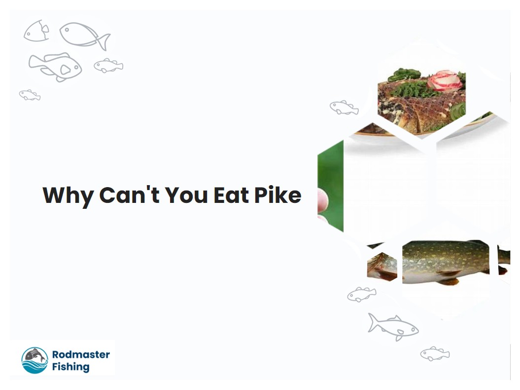 Why Cant You Eat Pike