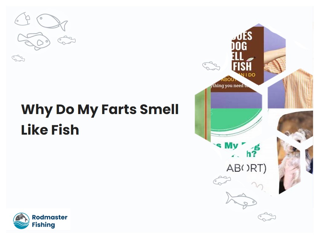 Why Do My Farts Smell Like Fish