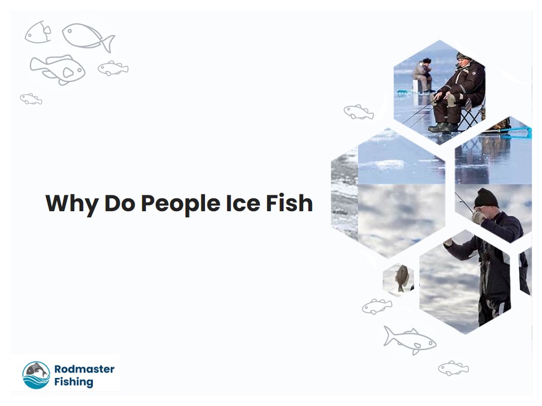 Why Do People Ice Fish