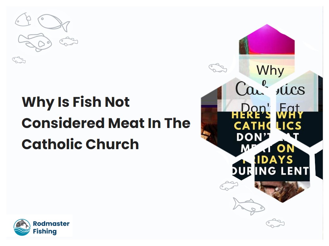 Why Is Fish Not Considered Meat In The Catholic Church