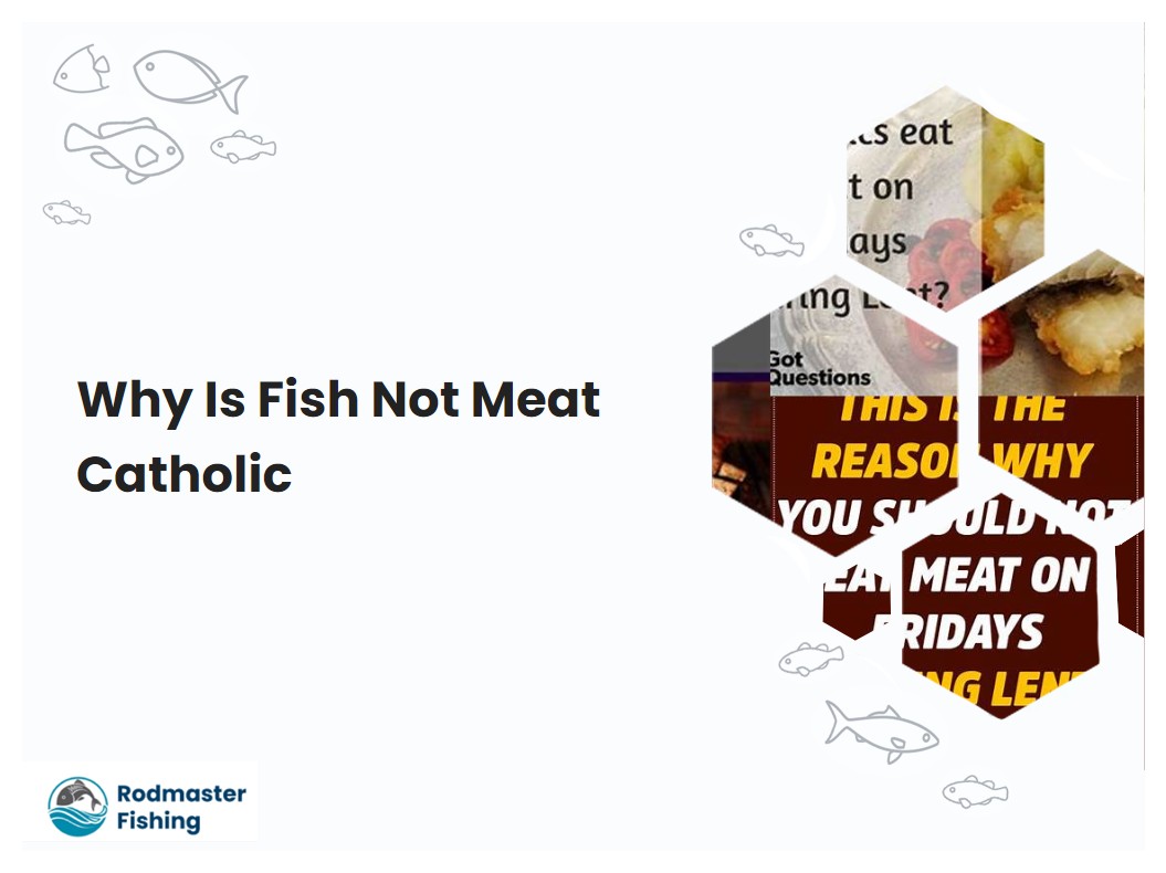 Why Is Fish Not Meat Catholic