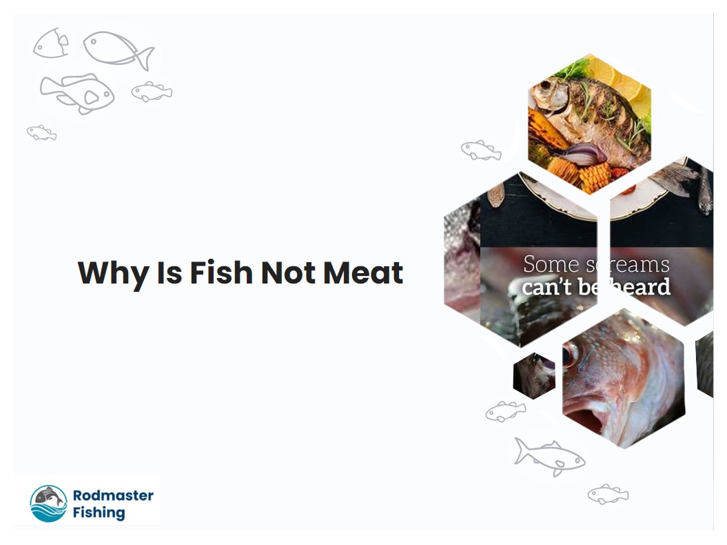 Why Is Fish Not Meat