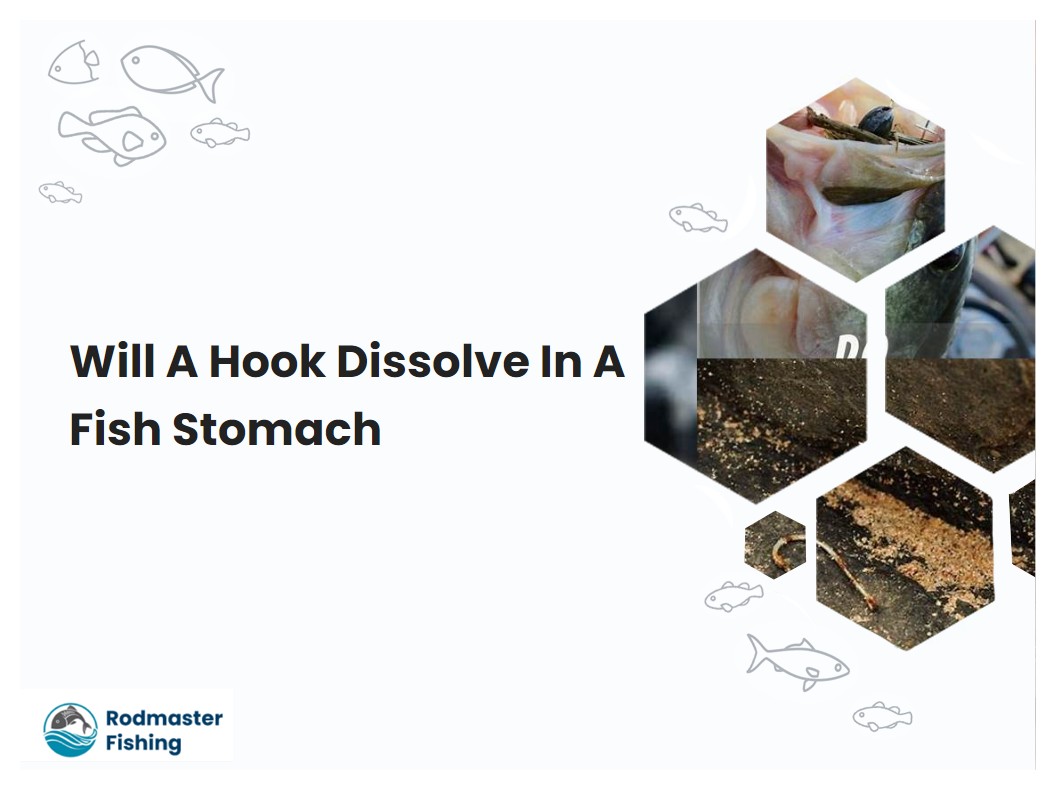Will A Hook Dissolve In A Fish Stomach