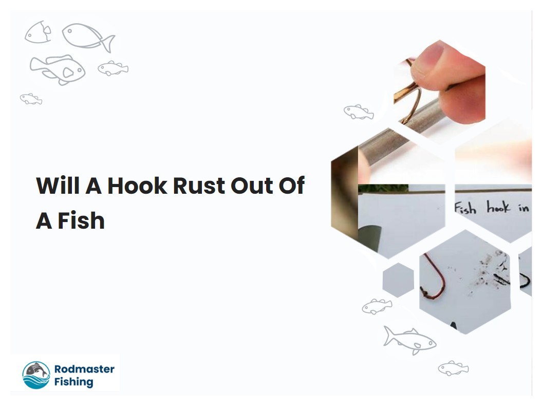 Will A Hook Rust Out Of A Fish