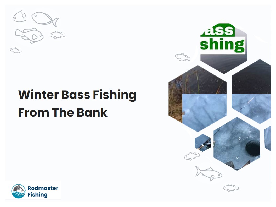 Winter Bass Fishing From The Bank