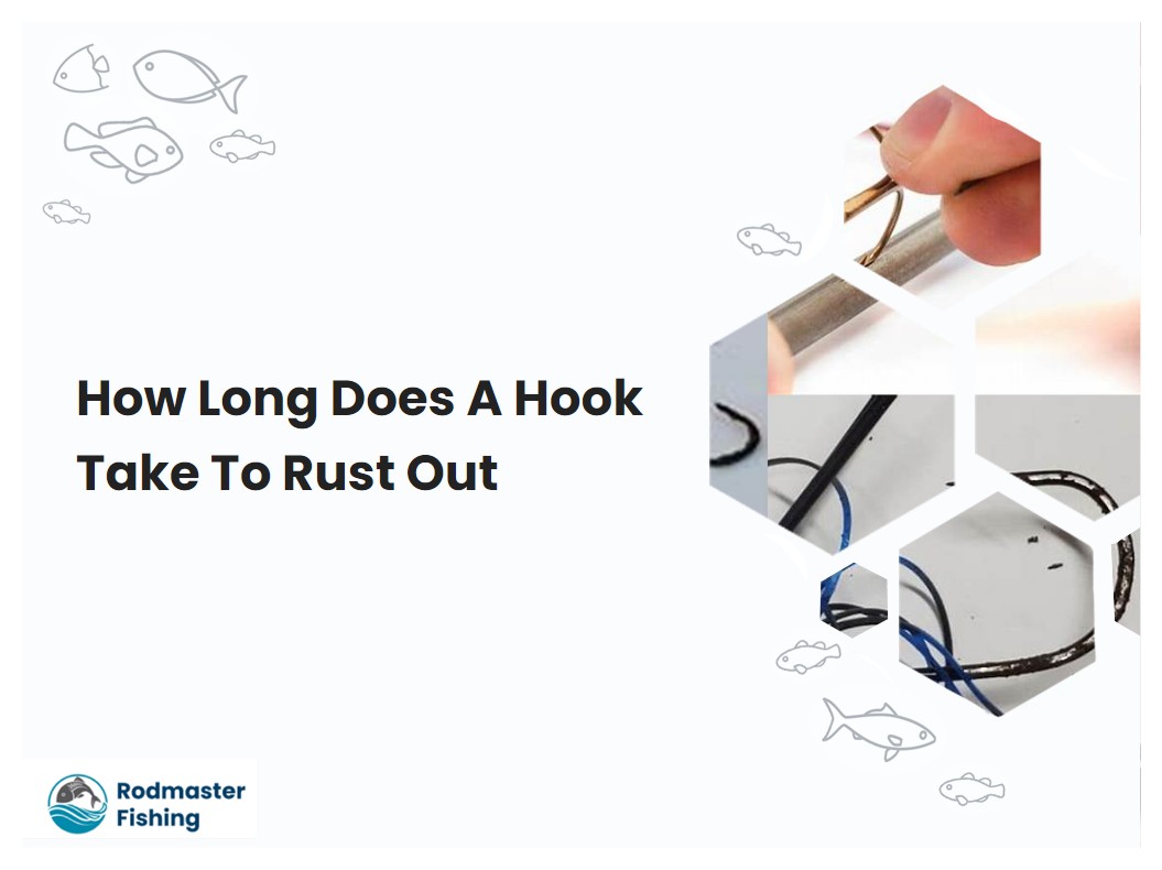 How Long Does A Hook Take To Rust Out Rodmasterfishing