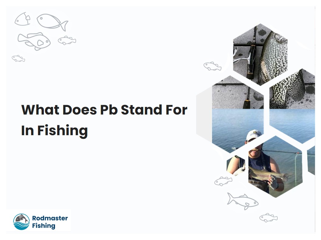 what-does-pb-stand-for-in-fishing-rodmasterfishing